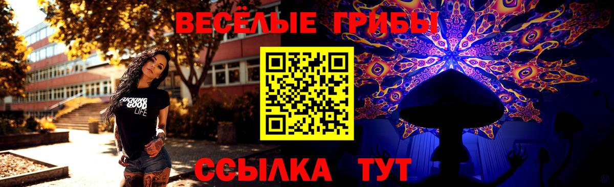Азнакаево  Псилоцибиновые грибы Psilocybe  Вход с VPN  Псилоцибиновые грибы мухоморы 